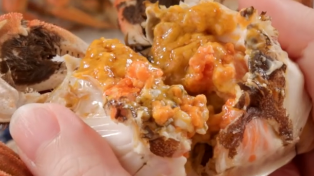 Hairy Crab Menu 2022.10
